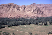 460px-Palmeraie_de_Tinerhir_Vallée_du_Todra.Maroc.jpg
