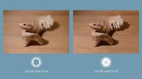 Depth-of-Field-Comparison-f4-vs-f32.jpg