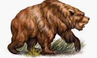 Cave-Bear-Ursus-Spelaeus-1024x614.jpg