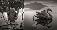 lake-natron-africa-24.jpg