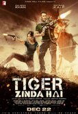 Tiger-Zinda-Hai-2017.jpg