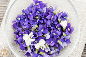 Dried-violet-flower.jpg