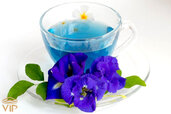 Violet-flower-teaA.jpg