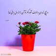 عکس-نوشته-خدا-14.jpg