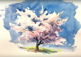 easy watercolor techniques painting.png