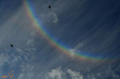 circumzenithal-arc-sky.jpg