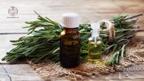 rosemary-essential-oil-in-a-glass-bottle-with-fresh-branch-rosemary-herb-on-wooden.jpg