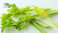 lntroducing-leafy-celery.jpg