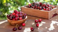 take-look-cherry-tree-370x208.jpg take-look-cherry-tree-370x208.jpg