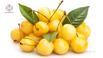 orumieh-yellow-cherry.jpg orumieh-yellow-cherry.jpg