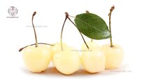 large-white-cherry.jpg large-white-cherry.jpg