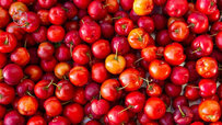 delicious-jamaica-cherry.jpg