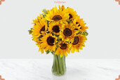 bunch-of-sunflower.jpg bunch-of-sunflower.jpg