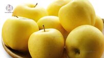 dwarf-yellow-delicious-apple.jpg dwarf-yellow-delicious-apple.jpg