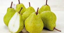 pear-titr-370x191.jpg pear-titr-370x191.jpg
