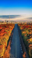 158278-1080x1920-samsung-full-hd-autumn-background.jpg