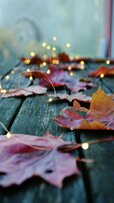 158353-1080x1920-samsung-1080p-autumn-wallpaper-photo.jpg