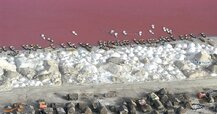 lake-retba-senegal.jpg