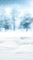 153030-1080x1920-mobile-1080p-snowfall-background-photo.jpg
