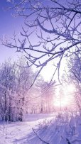 159190-1080x1920-iphone-full-hd-winter-background-photo.jpg