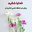 عکس-نوشته-شکرگزاری-برای-سلامتی2.jpg