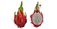 Titre-Dragon-Fruits-370x191.jpg