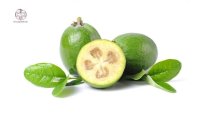 green-feijoa-on-white-background-1089x613.jpg green-feijoa-on-white-background-1089x613.jpg