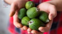 man-holds-feijoa.jpg