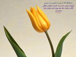810 Hadis 024.jpg