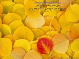 810 Hadis 039.jpg