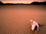 Bone Dry, Death Valley, California.jpg