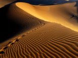 Footprints, Namib Desert, Namibia, Africa.jpg