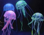 new-cute-fluorescent-glowing-effect-jellyfish-min.jpg