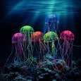 Jellyfish-1.jpg