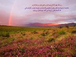 810 Hadis 083.jpg