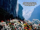 810 Hadis 117.jpg