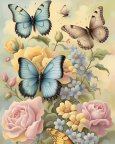 butterfly_lovers_club1_14021118_132138271.jpg