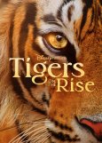 Tigers-on-the-Rise-2024.jpg