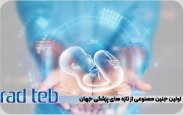 اولین-جنین-مصنوعی-از-تازه-های-پزشکی-جهان.jpg