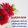 عکس-نوشته-شکرگزاری-برای-سلامتی1.jpg