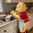 all_about_pooh__14031107_080254993.jpg