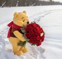 all_about_pooh__14031127_182116881.jpg
