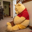 all_about_pooh__14031125_051324865.jpg