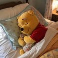 all_about_pooh__14031125_050223238.jpg