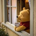 all_about_pooh__14031107_080254949.jpg
