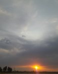 1000305066.jpg