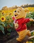 all_about_pooh__14031210_075607608.jpg all_about_pooh__14031210_075607608.jpg