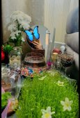 photo-output.jpeg