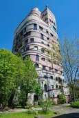 forest-spiral-06.jpg