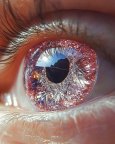 sarashakeel_14031120_155526426.jpg